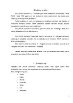 Referāts 'Mārketinga plāns SIA "AVON Cosmetics"', 5.