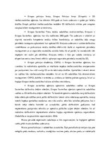 Diplomdarbs 'Kontrabandas samazināšanas iespēju analīze uz Latvijas ārējās robežas', 12.