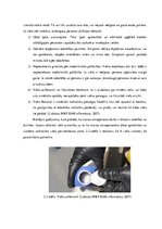 Diplomdarbs 'Kontrabandas samazināšanas iespēju analīze uz Latvijas ārējās robežas', 27.