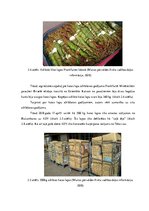 Diplomdarbs 'Kontrabandas samazināšanas iespēju analīze uz Latvijas ārējās robežas', 29.