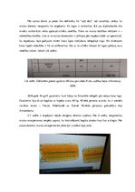 Diplomdarbs 'Kontrabandas samazināšanas iespēju analīze uz Latvijas ārējās robežas', 30.