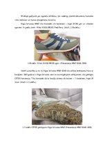 Diplomdarbs 'Kontrabandas samazināšanas iespēju analīze uz Latvijas ārējās robežas', 33.