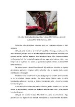 Diplomdarbs 'Kontrabandas samazināšanas iespēju analīze uz Latvijas ārējās robežas', 38.