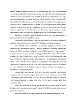 Diplomdarbs 'Kontrabandas samazināšanas iespēju analīze uz Latvijas ārējās robežas', 39.