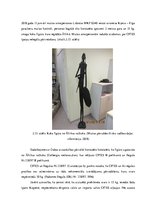 Diplomdarbs 'Kontrabandas samazināšanas iespēju analīze uz Latvijas ārējās robežas', 40.