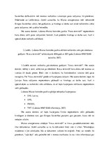 Diplomdarbs 'Kontrabandas samazināšanas iespēju analīze uz Latvijas ārējās robežas', 47.