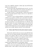 Diplomdarbs 'Kontrabandas samazināšanas iespēju analīze uz Latvijas ārējās robežas', 51.