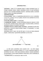 Referāts 'Apdrošināšanas sabiedrības dzīves cikla analīze', 1.