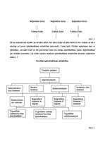 Referāts 'Apdrošināšanas sabiedrības dzīves cikla analīze', 3.