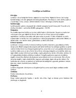 Referāts 'Medicīniskā parazitoloģija', 8.