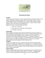 Referāts 'Medicīniskā parazitoloģija', 9.