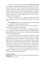 Referāts 'Biznesa restrukturizācija kā finansiālo problēmu risināšanas metode', 8.