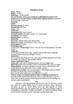 Referāts 'Mangusti', 13.