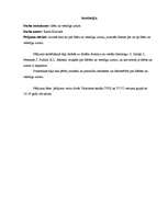 Referāts 'Diēta un veselīgs uzturs', 2.