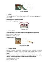 Referāts 'Bērnu rotaļu un atpūtas laukuma izveidošana', 9.