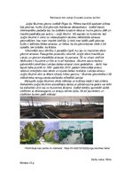 Eseja 'Recenzija par Jurģa Skulmes gleznu izstādi', 1.