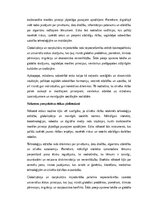 Eseja 'Etika: morāles principi un cilvēka rīcība mūsdienu un nākotnes sabiedrībā', 4.