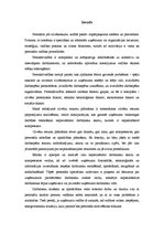 Referāts 'Personālvadības organizācija un novērtēšanas kritēriji', 3.