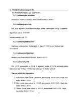 Biznesa plāns 'Biznesa plāns', 5.