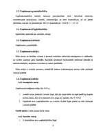 Biznesa plāns 'Biznesa plāns', 6.