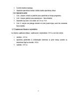 Biznesa plāns 'Biznesa plāns', 7.