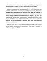 Biznesa plāns 'Biznesa plāns', 15.