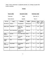 Biznesa plāns 'Biznesa plāns', 21.