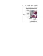 Konspekts 'Investīcijas', 95.