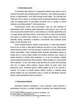 Referāts 'Demokratizācijas process: Latvijas un Baltkrievijas gadījumu salīdzinājums', 10.