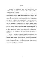 Referāts 'Latvijas reprezentācija seriālos "Brooklyn Nine-Nine" un "New Girl"', 5.