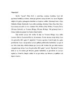 Referāts 'Latvijas reprezentācija seriālos "Brooklyn Nine-Nine" un "New Girl"', 20.