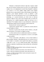 Referāts 'Latvijas reprezentācija seriālos "Brooklyn Nine-Nine" un "New Girl"', 24.