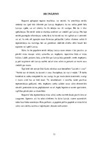 Referāts 'Latvijas reprezentācija seriālos "Brooklyn Nine-Nine" un "New Girl"', 33.