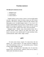 Referāts 'Filosofijas aizsākumi', 2.