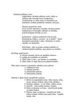 Konspekts 'Rokraksta izpēte', 2.