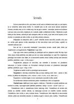 Referāts 'Lamu vārdi', 3.