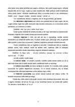 Referāts 'Lamu vārdi', 4.