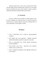 Konspekts 'Lietuvas tūrisma produkts', 11.