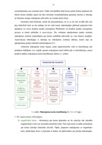 Diplomdarbs 'Maksājumu karšu biznesa attīstība Latvijā', 10.
