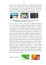 Diplomdarbs 'Maksājumu karšu biznesa attīstība Latvijā', 11.