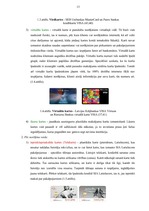 Diplomdarbs 'Maksājumu karšu biznesa attīstība Latvijā', 12.