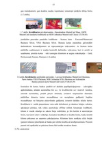 Diplomdarbs 'Maksājumu karšu biznesa attīstība Latvijā', 14.