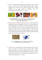 Diplomdarbs 'Maksājumu karšu biznesa attīstība Latvijā', 15.