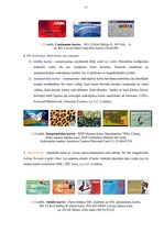 Diplomdarbs 'Maksājumu karšu biznesa attīstība Latvijā', 16.