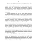 Diplomdarbs 'Maksājumu karšu biznesa attīstība Latvijā', 52.