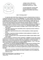 Konspekts 'Organizācija un vadīšanas teorija. Organizācijas jēdziens', 3.