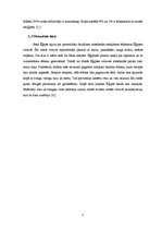 Konspekts 'Ēģiptes nacionālā virtuve', 5.