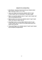 Konspekts 'Ēģiptes nacionālā virtuve', 11.