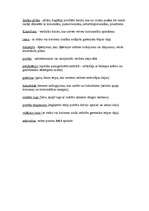 Konspekts 'Trīs gotikas stila katedrāles', 4.