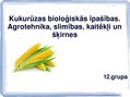 Prezentācija 'Kukurūzas bioloģiskās īpašības. Agrotehnika, slimības, kaitēkļi un šķirnes', 1.